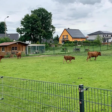 Zur Dexter-zucht Apartament *