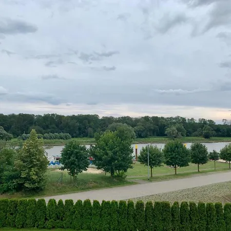 Zur Dexter-zucht コスヴィッヒ