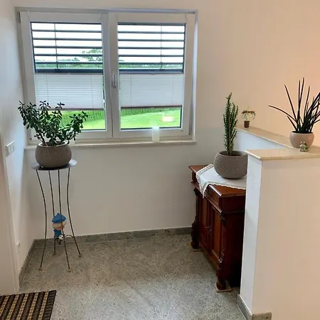 Zur Dexter-zucht Apartament