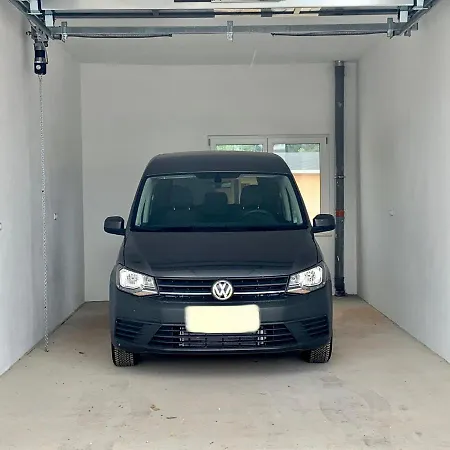 Zur Dexter-zucht コスヴィッヒ