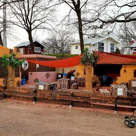 Zur Dexter-zucht コスヴィッヒ