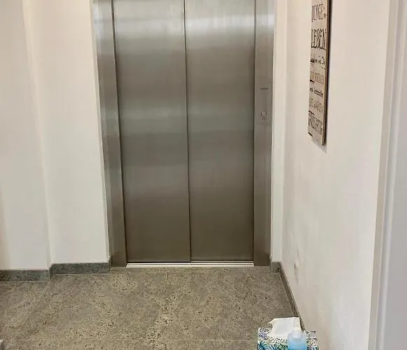 Zur Dexter-zucht コスヴィッヒ