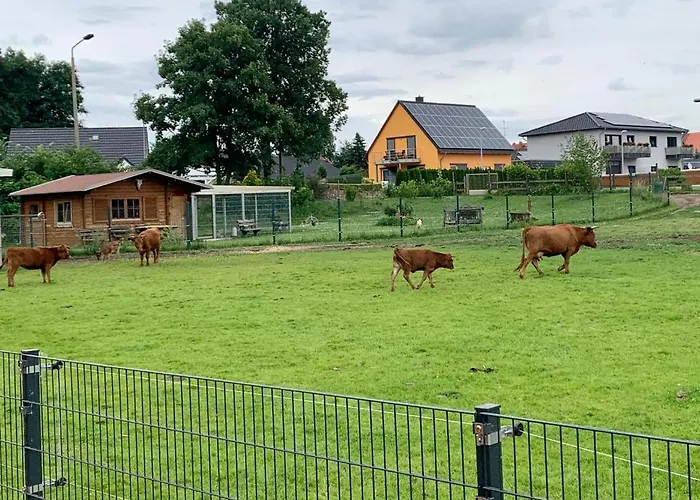 Zur Dexter-zucht Lägenhet *