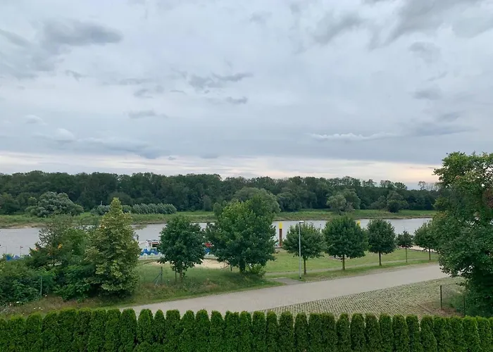 Zur Dexter-zucht Coswig (Anhalt)