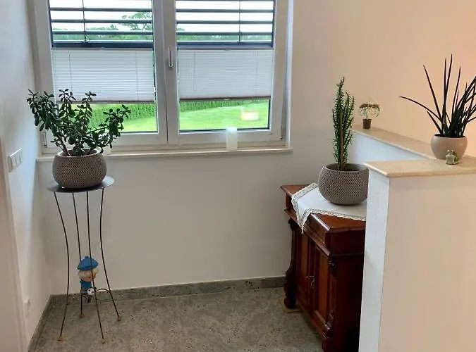 Zur Dexter-zucht Lägenhet