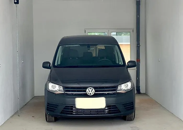 Zur Dexter-zucht Coswig (Anhalt)